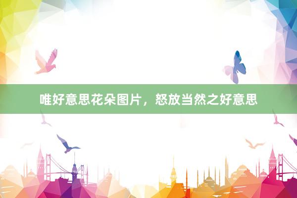 唯好意思花朵图片，怒放当然之好意思